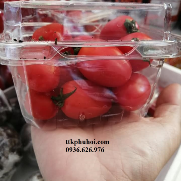 HỘP NHỰA TRÁI CÂY P250A 250G
